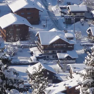 https://fleur-des-neiges-morzine.hotels-rhonealpes.com