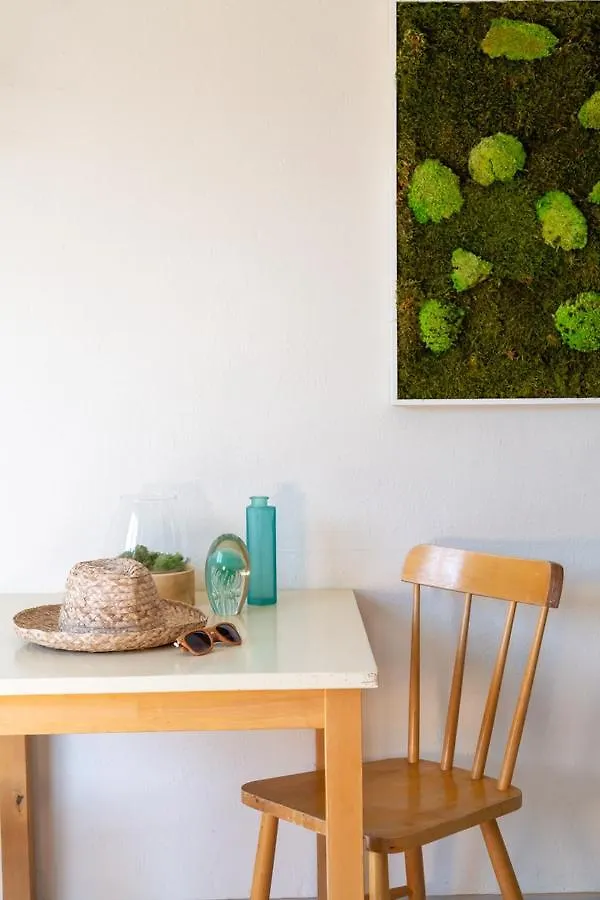 Hotel Almanarre Plage - Hotel Eco-Responsable Face A La Mer Hyeres France
